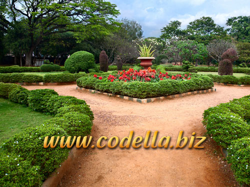 call girls in Lal Bagh